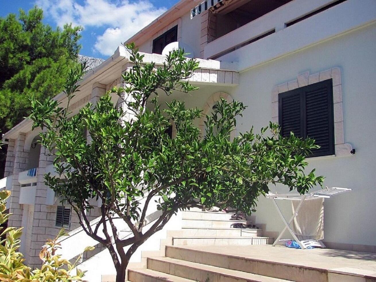 Apartments Anki Živogošće Exterior foto